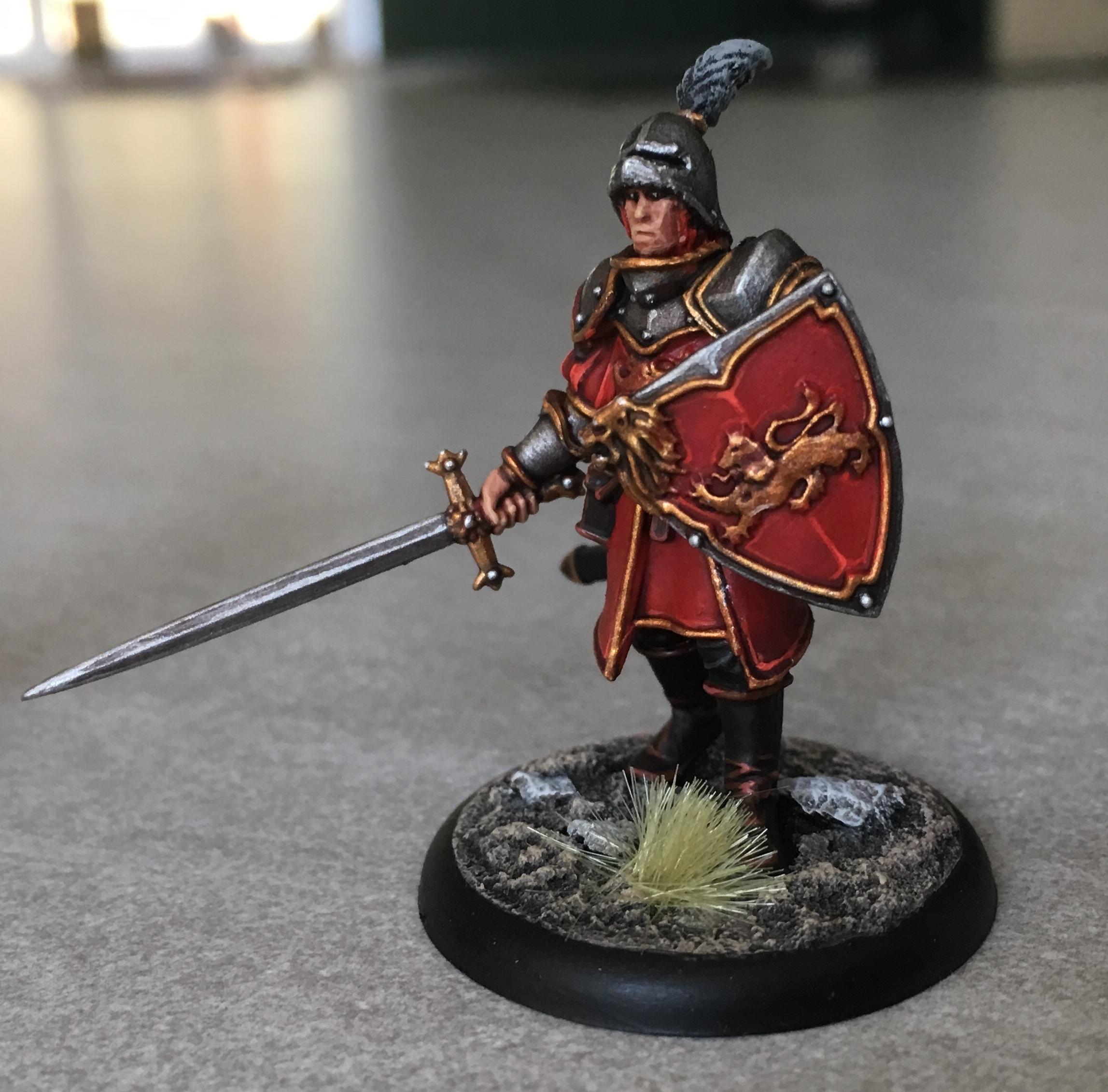 Asoiaf Game Of Thrones Swordsman Lannister Guardsman 01 Gallery DakkaDakka
